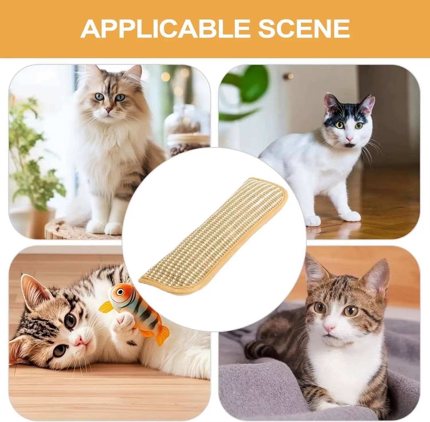 Catnip Interactive Scratcher Toy