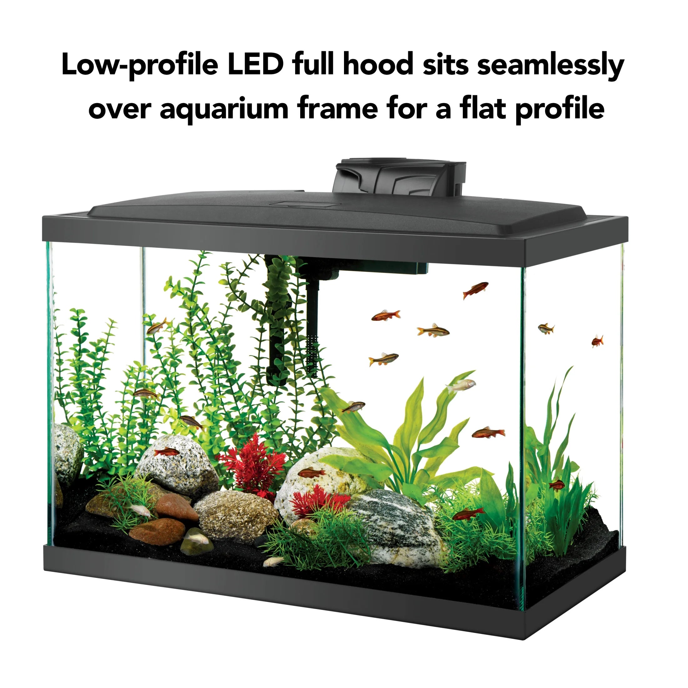 Aquarium Fish Tank Starter Kit with LED Lighting 20 High
